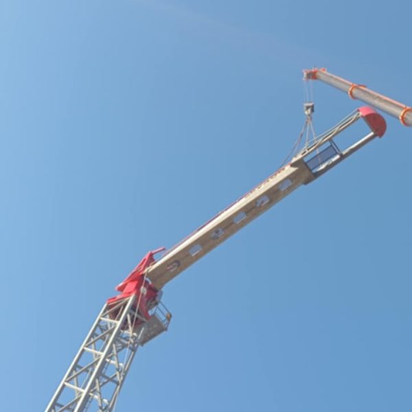 egersi cranes (5)