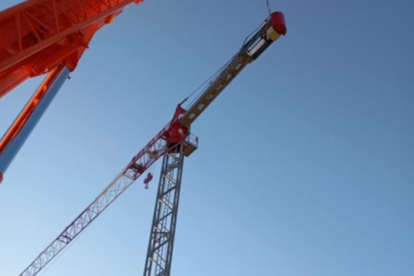 egersi cranes (7)
