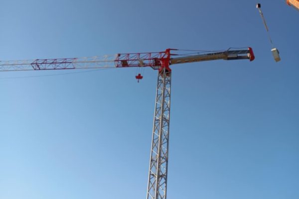 egersi cranes (8)